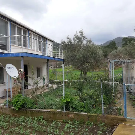 Tatil Evi Ali Summer House